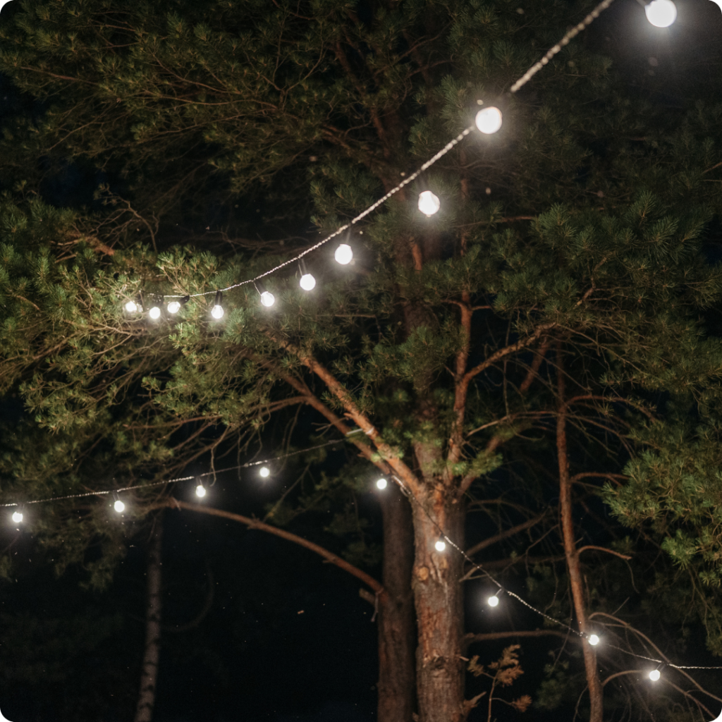 Fun and cozy outdoor landscape lighting hanging from trees in Murrieta, creating a warm ambiance