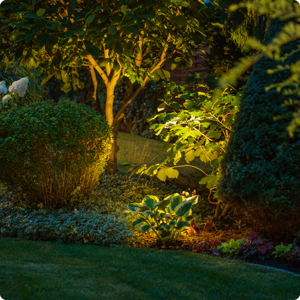 Well lights highlighting bushes and trees discreetly from the ground