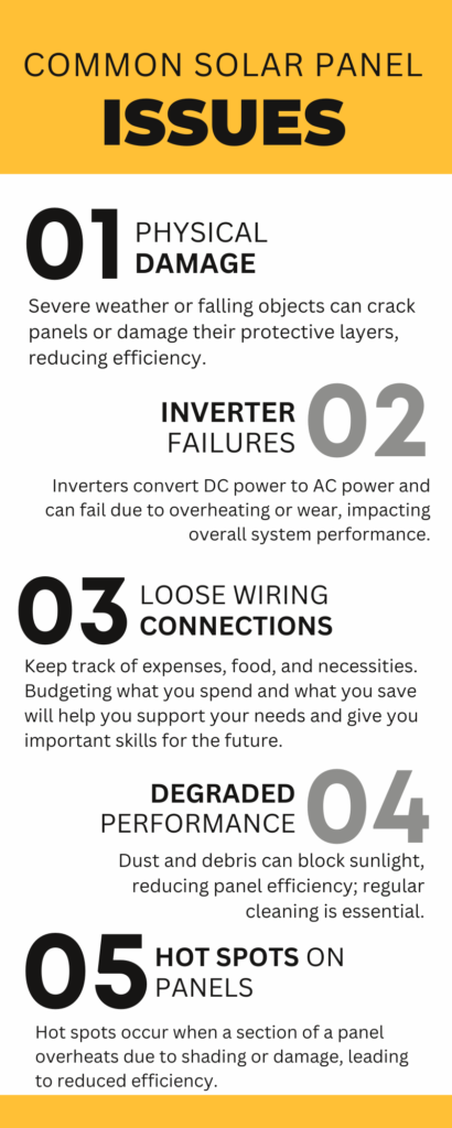 infogrpahic of the top 5 common solar panel issues and why you may need repair