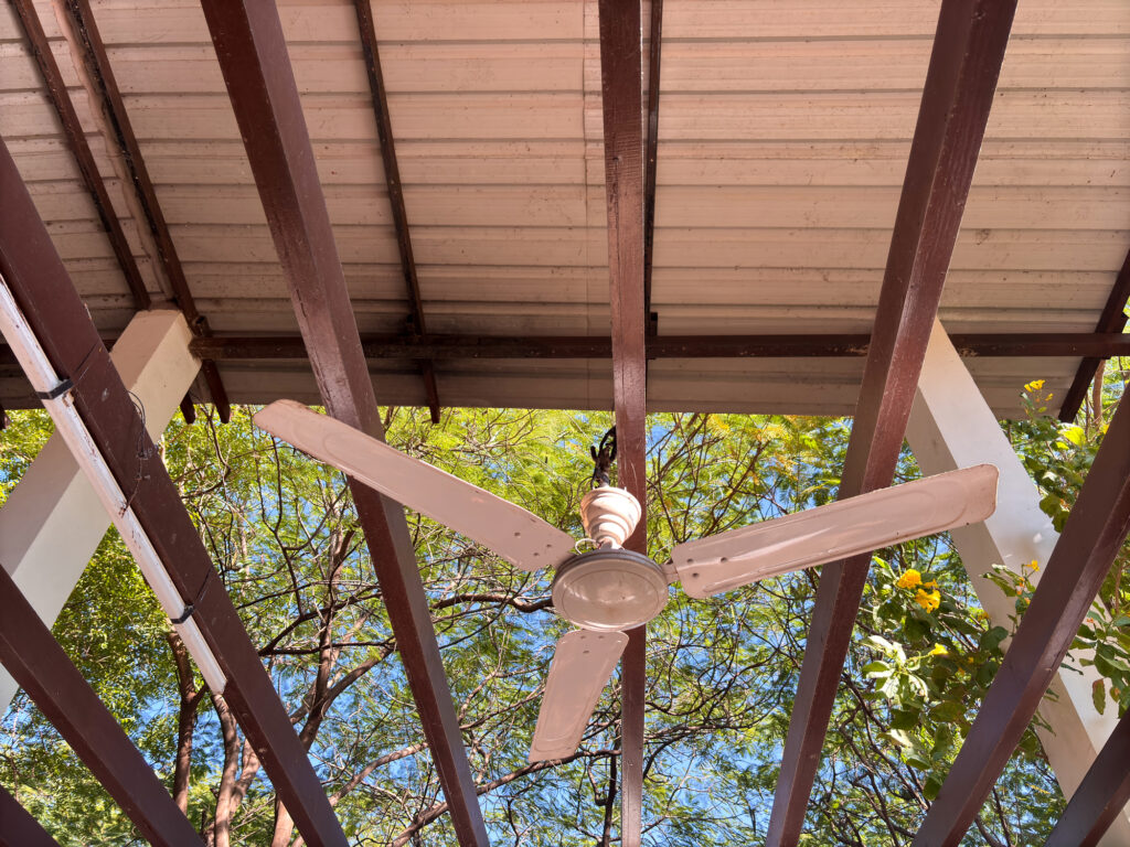 backyard ceiling fan